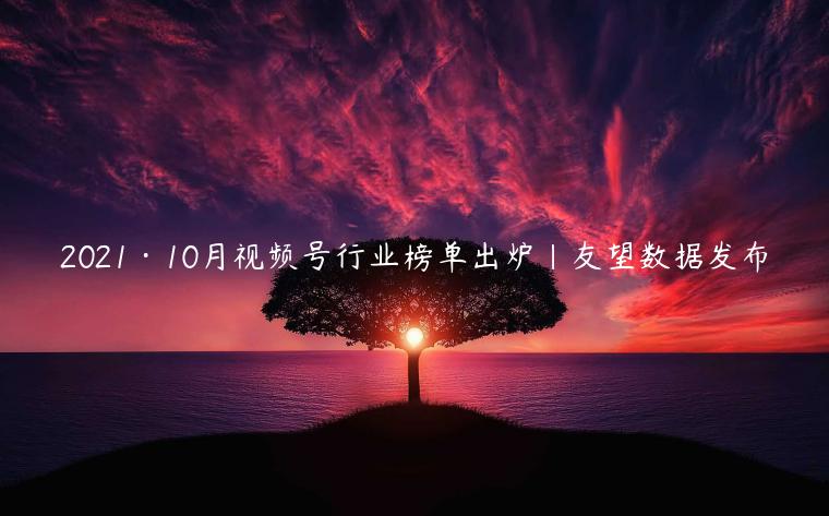 2021·10月視頻號行業(yè)榜單出爐|友望數據發(fā)布